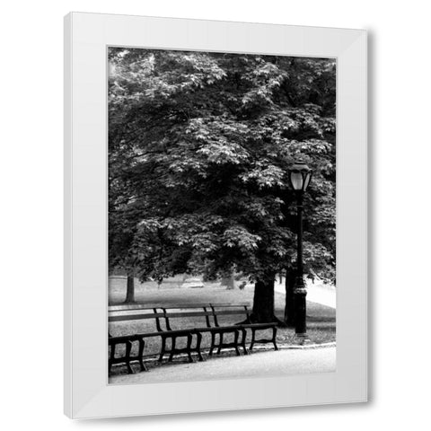 Central Park Benches White Modern Wood Framed Art Print by Grey, Jace
