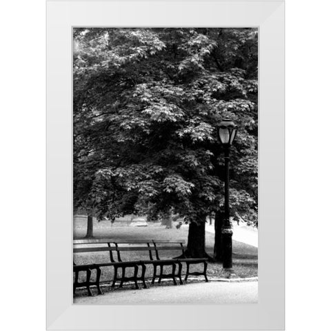 Central Park Benches White Modern Wood Framed Art Print by Grey, Jace