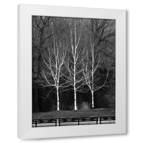 Central Park Three Amigos Fall White Modern Wood Framed Art Print by Grey, Jace