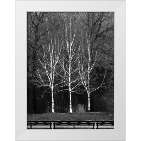 Central Park Three Amigos Fall White Modern Wood Framed Art Print by Grey, Jace