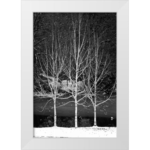 Central Park Three Amigos Winter White Modern Wood Framed Art Print by Grey, Jace