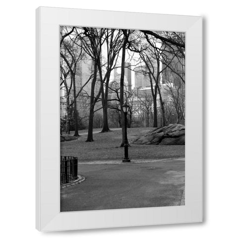 Central Park Image 062 White Modern Wood Framed Art Print by Grey, Jace