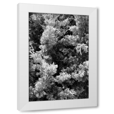 Beach Foliage 3 White Modern Wood Framed Art Print by Grey, Jace