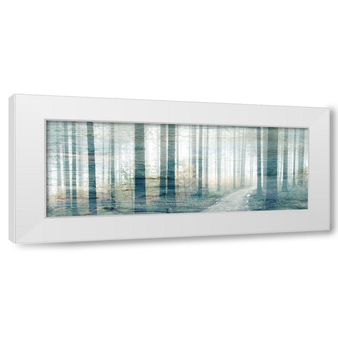 Forest Road White Modern Wood Framed Art Print by Kimberly, Allen