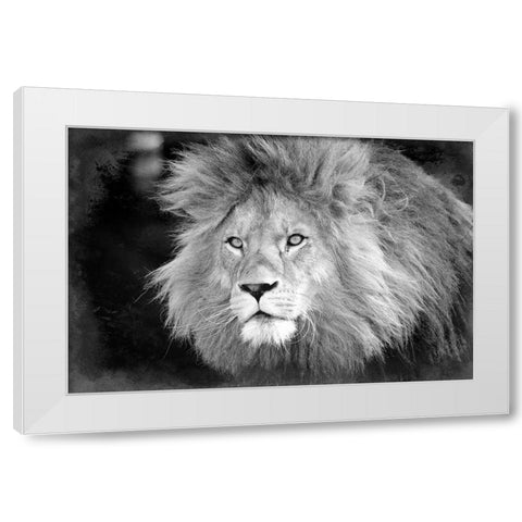 Intent White Modern Wood Framed Art Print by Kimberly, Allen