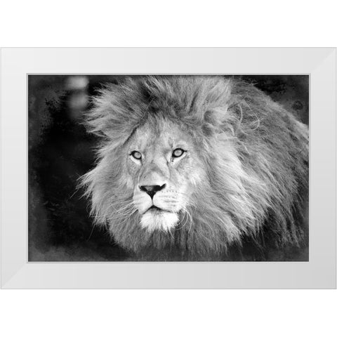 Intent White Modern Wood Framed Art Print by Kimberly, Allen