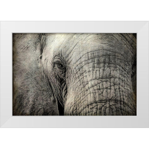 Gazing White Modern Wood Framed Art Print by Kimberly, Allen