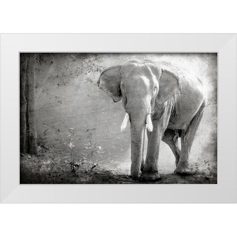 Olde Grey White Modern Wood Framed Art Print by Kimberly, Allen