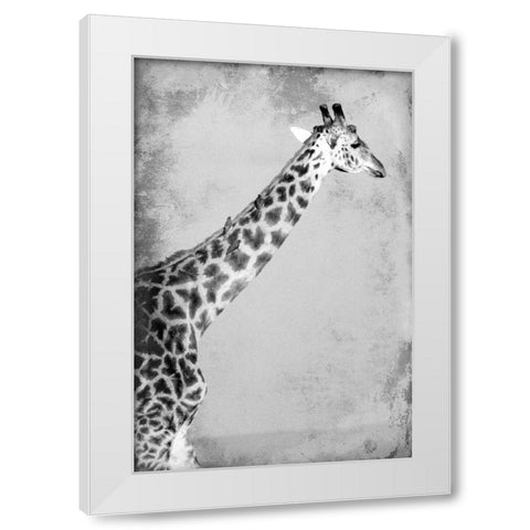 Homeward White Modern Wood Framed Art Print by Kimberly, Allen