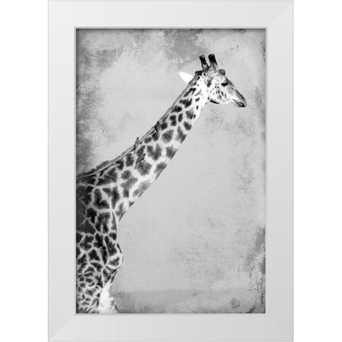 Homeward White Modern Wood Framed Art Print by Kimberly, Allen