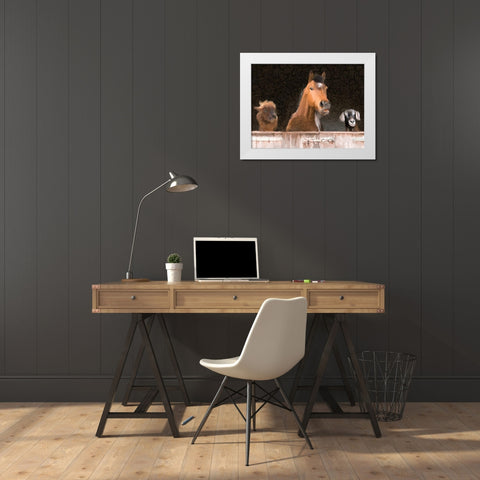 Smiles from the Barn White Modern Wood Framed Art Print by Kimberly, Allen