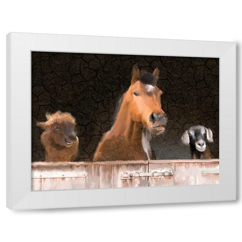 Smiles from the Barn White Modern Wood Framed Art Print by Kimberly, Allen