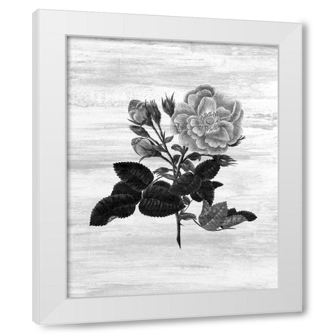 Botanical Flower 1 White Modern Wood Framed Art Print by Kimberly, Allen