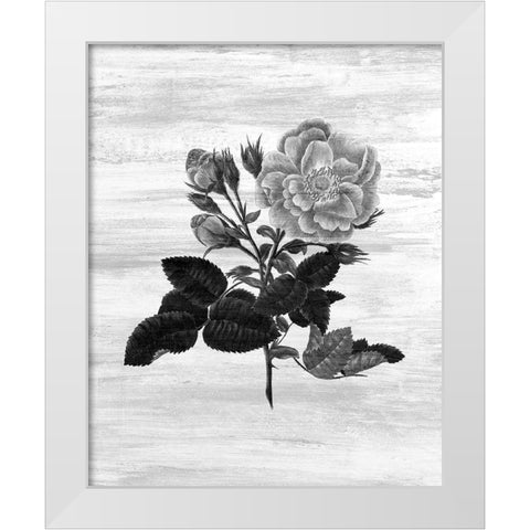 Botanical Flower 1 White Modern Wood Framed Art Print by Kimberly, Allen