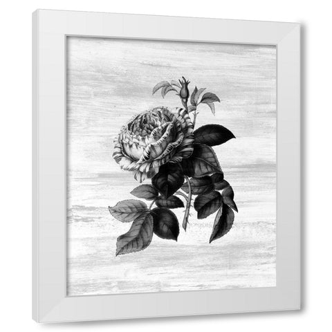 Botanical Flower 2 White Modern Wood Framed Art Print by Kimberly, Allen