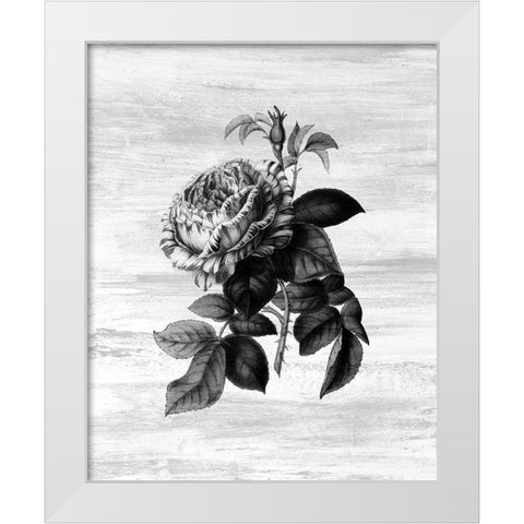 Botanical Flower 2 White Modern Wood Framed Art Print by Kimberly, Allen