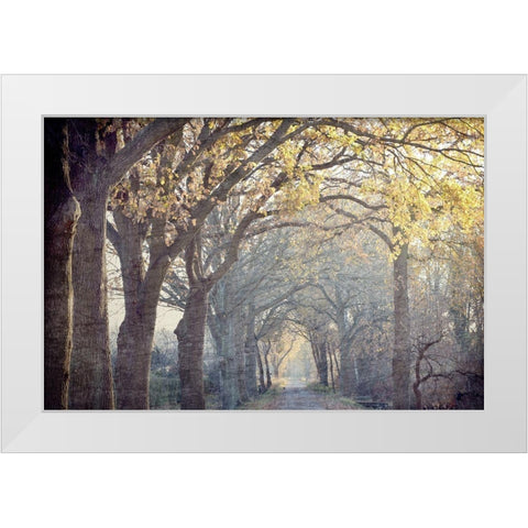 Avenue of Trees White Modern Wood Framed Art Print by Kimberly, Allen