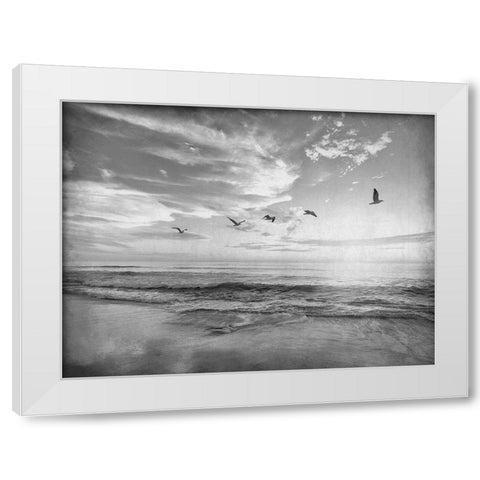 Soaring Above The Sea White Modern Wood Framed Art Print by Kimberly, Allen