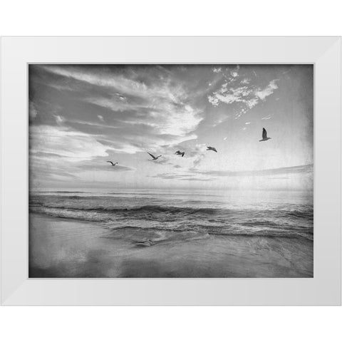 Soaring Above The Sea White Modern Wood Framed Art Print by Kimberly, Allen