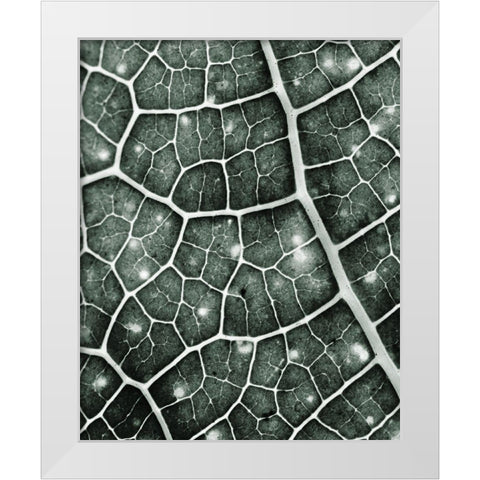 Eco 2 White Modern Wood Framed Art Print by Kimberly, Allen