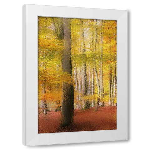 Golden Days White Modern Wood Framed Art Print by Kimberly, Allen