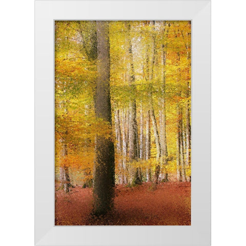 Golden Days White Modern Wood Framed Art Print by Kimberly, Allen