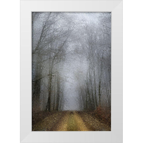 Road of Mysteries White Modern Wood Framed Art Print by Kimberly, Allen
