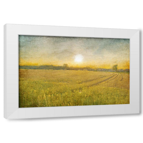 Already to Harvest White Modern Wood Framed Art Print by Kimberly, Allen