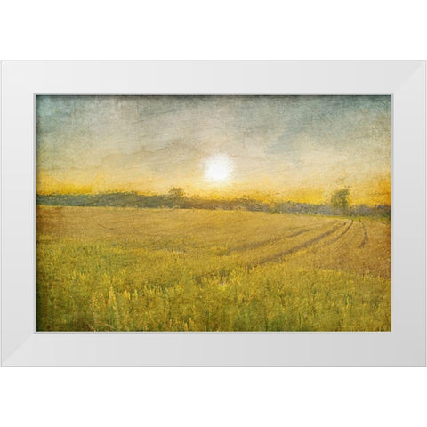 Already to Harvest White Modern Wood Framed Art Print by Kimberly, Allen
