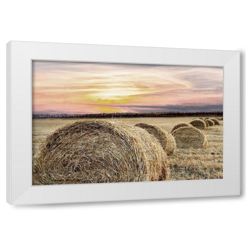 Farmers Harvest White Modern Wood Framed Art Print by Kimberly, Allen
