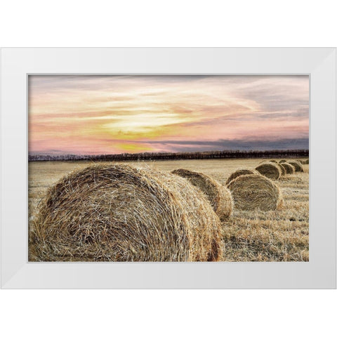 Farmers Harvest White Modern Wood Framed Art Print by Kimberly, Allen