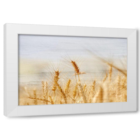 The Harvest White Modern Wood Framed Art Print by Kimberly, Allen