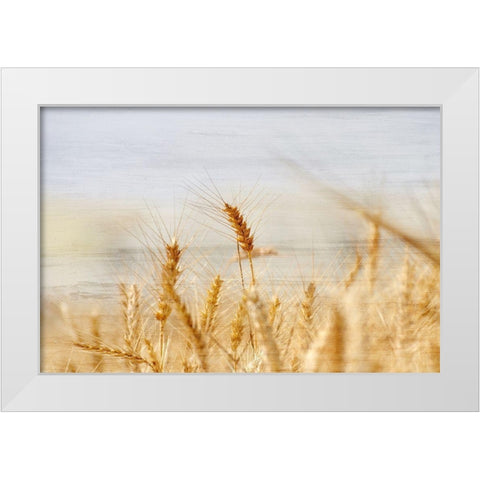 The Harvest White Modern Wood Framed Art Print by Kimberly, Allen