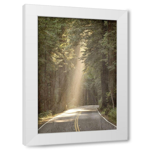 Lets get Lost Road White Modern Wood Framed Art Print by Kimberly, Allen