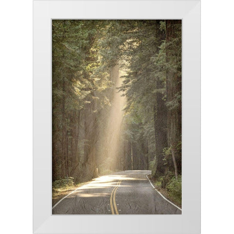 Lets get Lost Road White Modern Wood Framed Art Print by Kimberly, Allen
