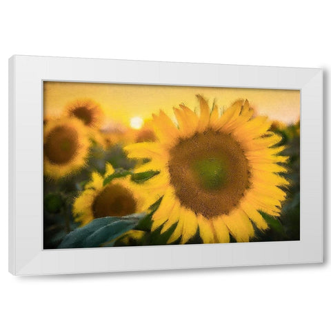 Morning Gold White Modern Wood Framed Art Print by Kimberly, Allen