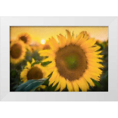 Morning Gold White Modern Wood Framed Art Print by Kimberly, Allen