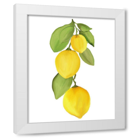 Fresh Lemons 4 White Modern Wood Framed Art Print by Kimberly, Allen