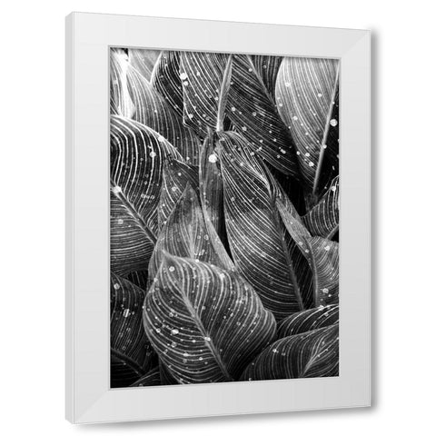 Midnight Palm Leaves 1 bw White Modern Wood Framed Art Print by Allen, Kimberly