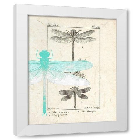 Field Guide 1 White Modern Wood Framed Art Print by Allen, Kimberly