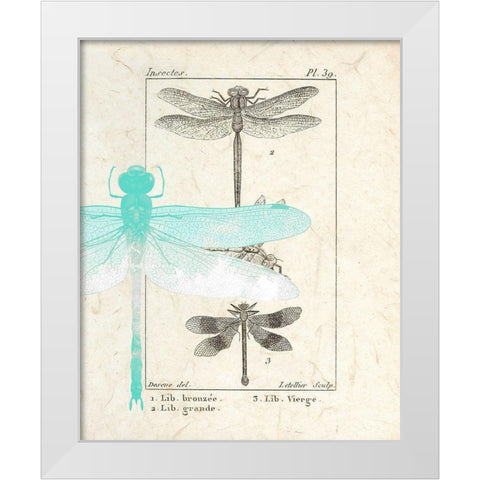 Field Guide 1 White Modern Wood Framed Art Print by Allen, Kimberly