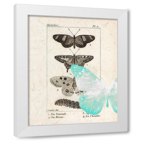 Field Guide 2 White Modern Wood Framed Art Print by Allen, Kimberly