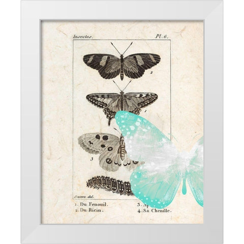 Field Guide 2 White Modern Wood Framed Art Print by Allen, Kimberly