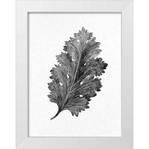Acanthus Leaf 2 White Modern Wood Framed Art Print by Allen, Kimberly
