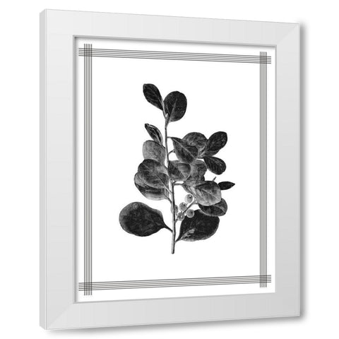Pressed 1 White Modern Wood Framed Art Print by Allen, Kimberly