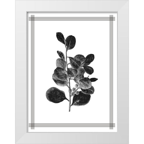 Pressed 1 White Modern Wood Framed Art Print by Allen, Kimberly