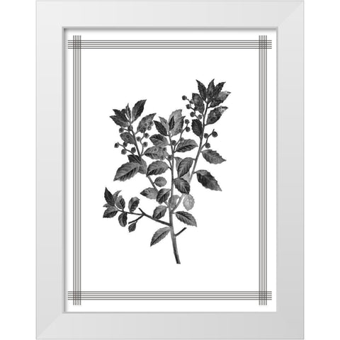 Pressed 2 White Modern Wood Framed Art Print by Allen, Kimberly