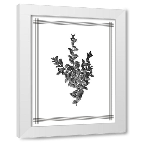 Pressed 4 White Modern Wood Framed Art Print by Allen, Kimberly
