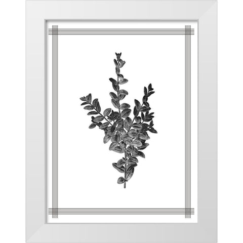 Pressed 4 White Modern Wood Framed Art Print by Allen, Kimberly