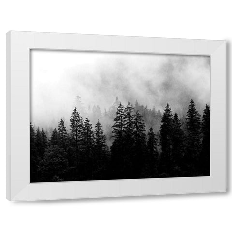 Foggy Morning White Modern Wood Framed Art Print by Allen, Kimberly
